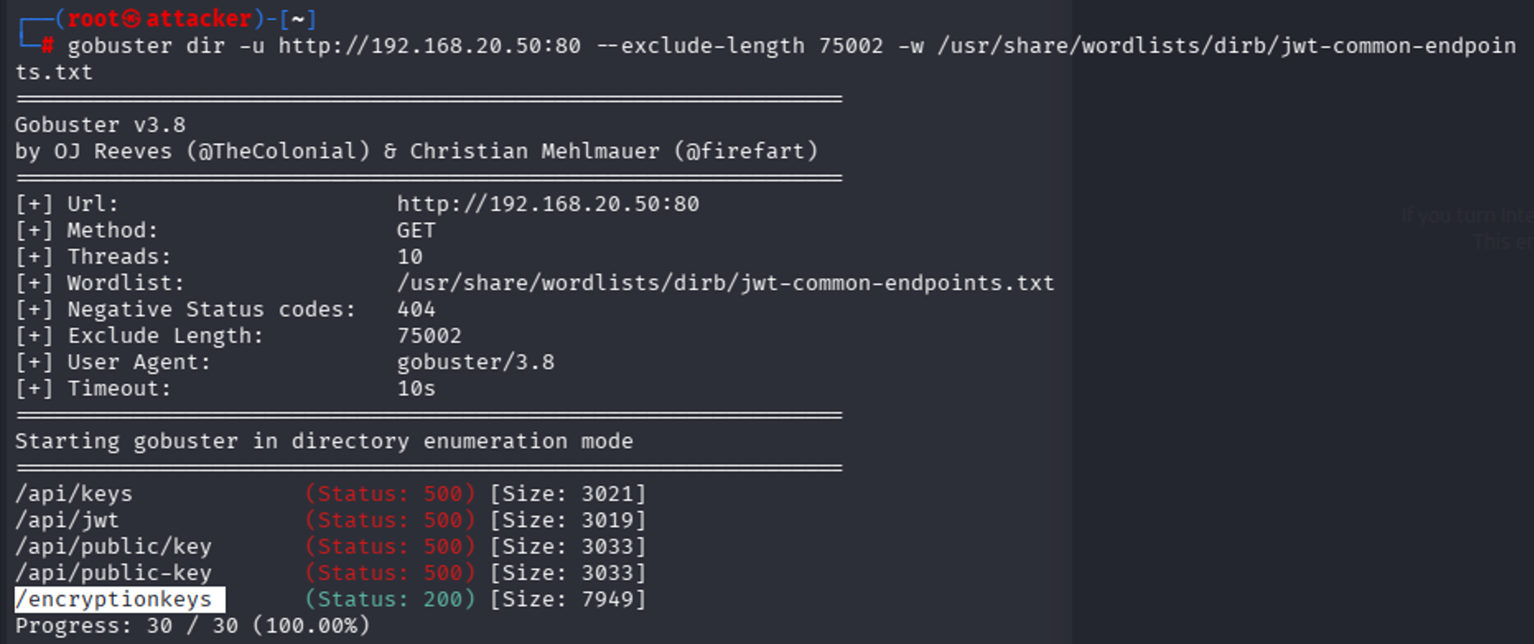 Screenshot showing the results of a gobuster scan.