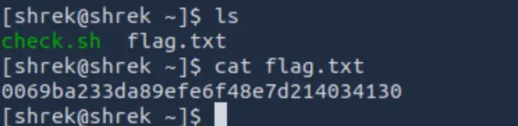 The check script contents.