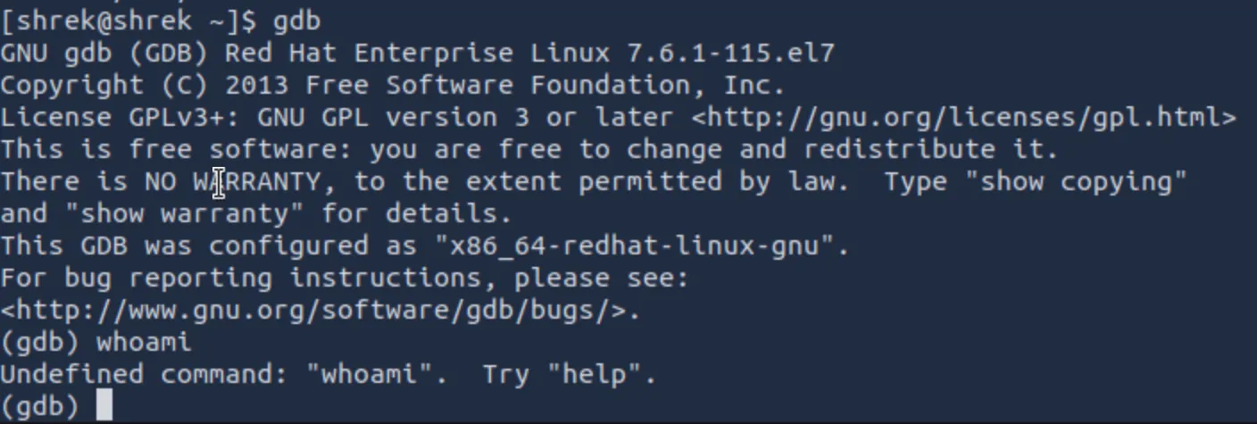 GDB has specific commands