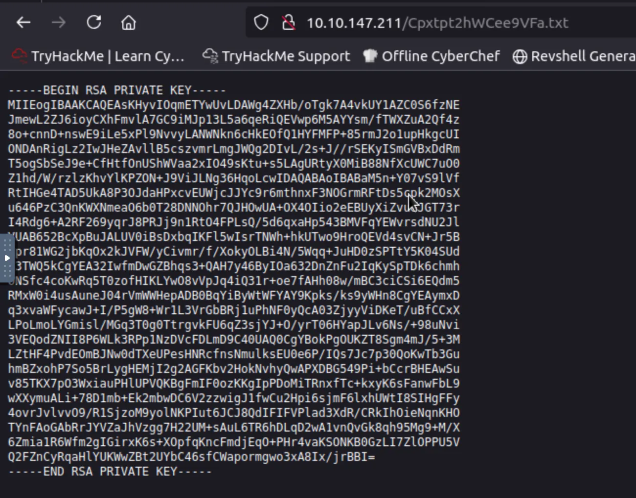 Picture of the RSA key found